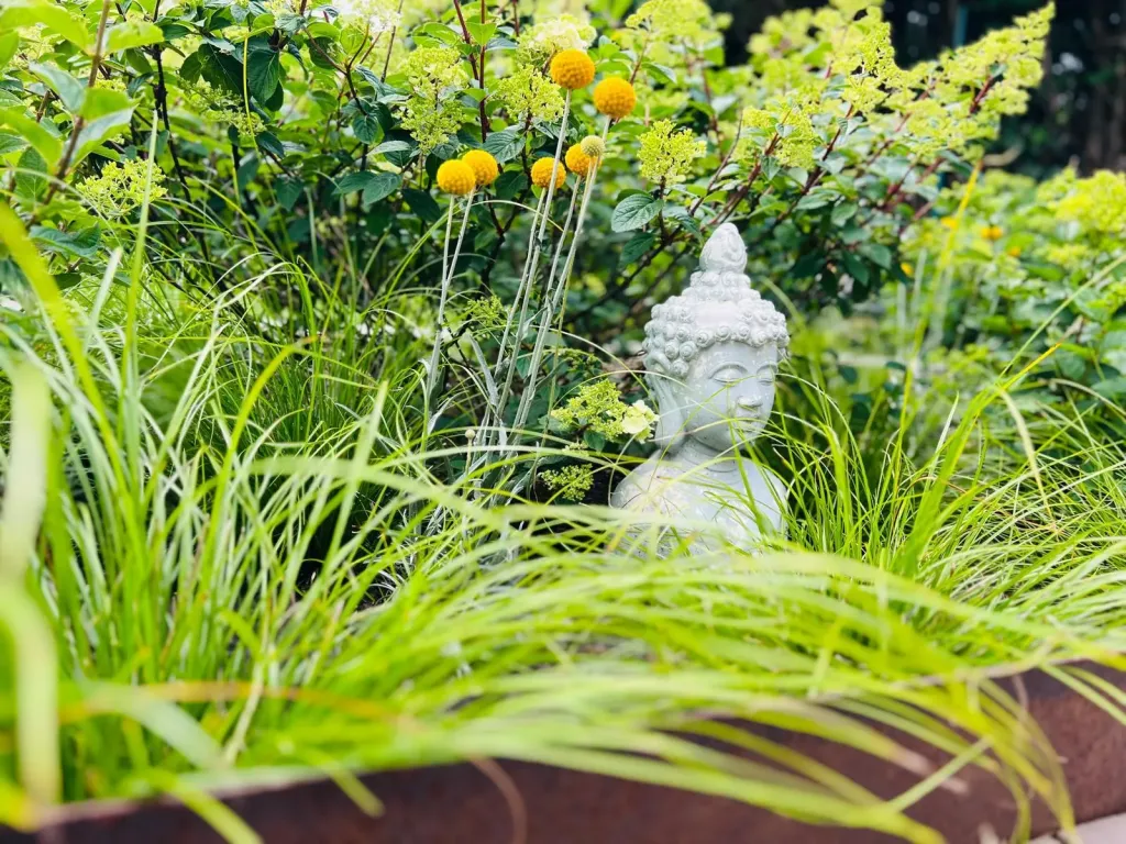 Buddha-Figur zwischen Gräsern und Kugelblumen im Beet
