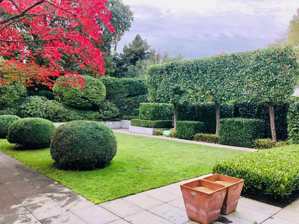 Garten mit Formschnitthecken, Buchskugeln und Rasen