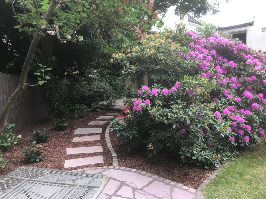 Gartenweg mit Trittplatten und blühendem Rhododendron