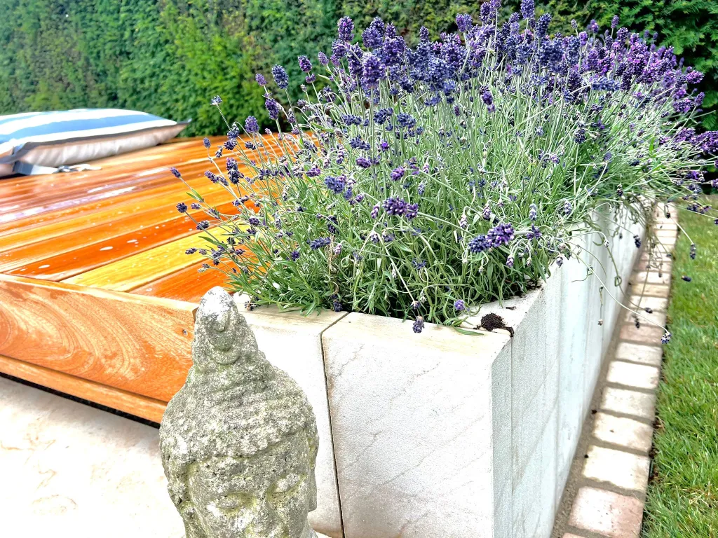 Pflanzkübel mit Lavendel auf einer Holzterrasse