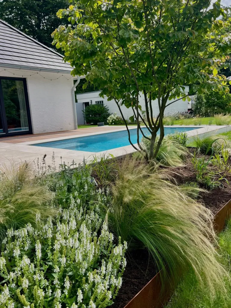 Pool mit Staudenbeet und Federgras