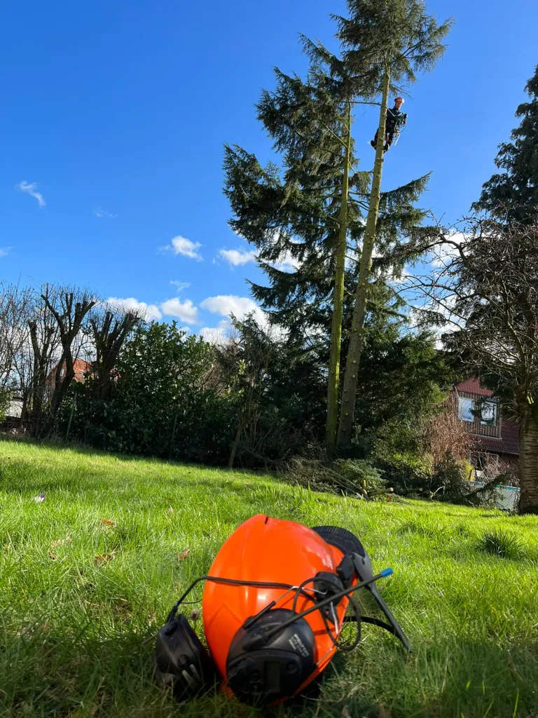 Rasenpflege mit Mähgerät im Garten